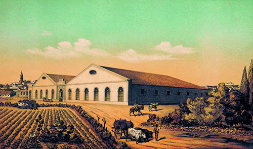 poderi-spagnoli-jerez