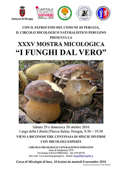 volantino-mostra-micologica-2016