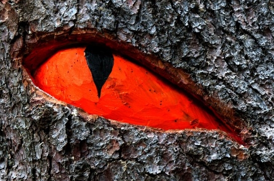Il Teroldego ”Sangue di Drago”: tra storia…e leggenda