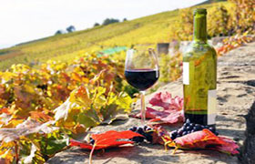 Gli abbinamenti non tradizionali del vino