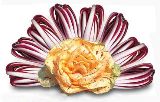 Radicchio rosso di Treviso IGP