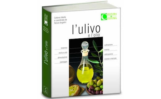 L’ulivo e l’olio