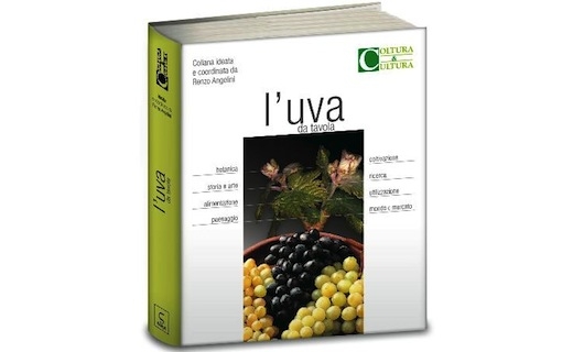 L’uva da tavola L’uva da tavola