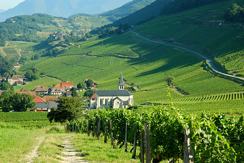 Le Petit Vins de la Savoie