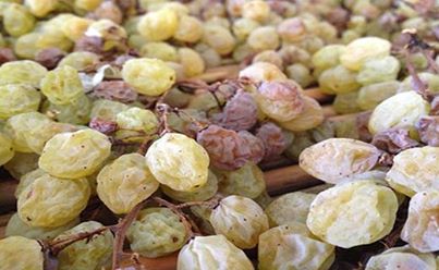 Il Torchiato di Fregona: quel ”Vin d’Oro” che da torchio sgorga