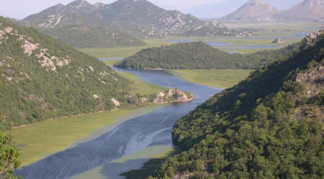 Il vino dell’Oblast di Rostov nato sulle rive del Don Il vino dell’Oblast di Rostov nato sulle rive del Don