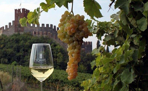 Tipico e pregiato il vino Soave va verso un cambiamento