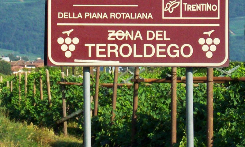 Viaggio nelle bellezze e vini del Trentino
