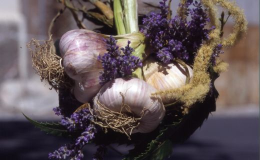 L’aglio di Vessalico