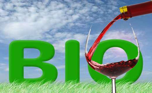 Live Wine 2015 si conclude con il successo del vino biologico Live Wine 2015 si conclude con il successo del vino biologico