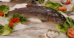 Tempo di Quaresima e di magro? E noi mangiamo pesce!