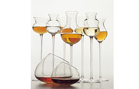 A Torrita di Siena l’undicesima edizione del ”Grappa Day”