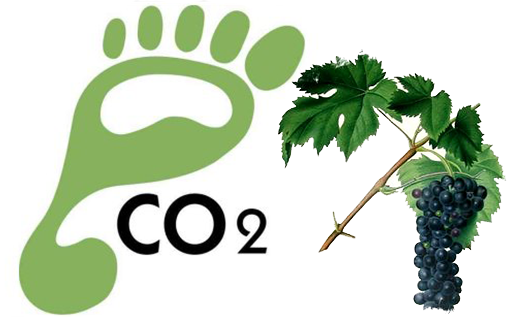 Il ”Carbon Footprint” del Vino Nobile di Montepulciano diventa un modello su scala nazionale Il ”Carbon Footprint” del Vino Nobile di Montepulciano diventa un modello su scala nazionale