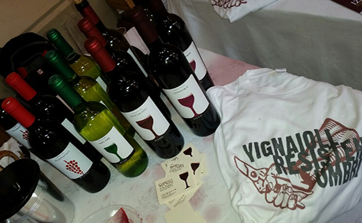 A Only Wine Festival in evidenza le nuove generazioni dell’enologia italiana