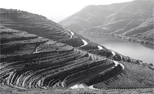 Il grande Porto. Quando l’identità del vino passa attraverso la sua storia (prima parte) Il grande Porto. Quando l’identità del vino passa attraverso la sua storia (prima parte)
