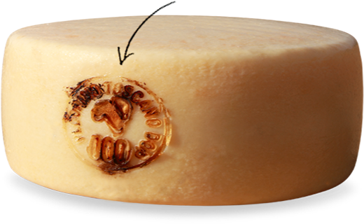 La ricerca come base per migliorare la qualità del Pecorino Toscano DOP