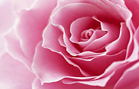 L’estate romana si tinge di rosa con ”Bererosa 2015”