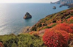 Cantina Sella & Mosca: nel calice il vento del mare e il territorio della Sardegna