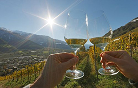 I vini delle Dolomiti