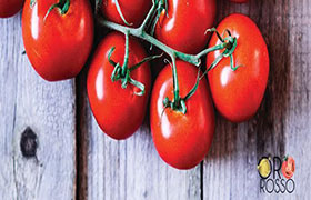 A Piacenza dal 2 al 4 ottobre 2015 protagonista il pomodoro con ”OroRosso”