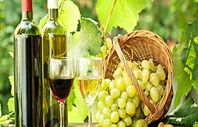 Alla scoperta del vino dei castelli romani