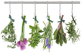 Le erbe aromatiche in cucina