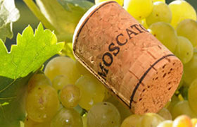 Asti DOCG: lo spumante vanto dell’enologia italiana