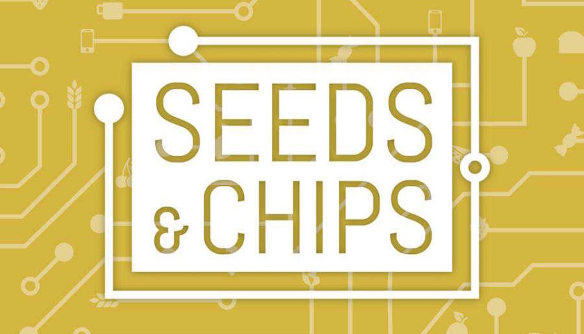 Seeds and Chips ed il successo di Delizialy
