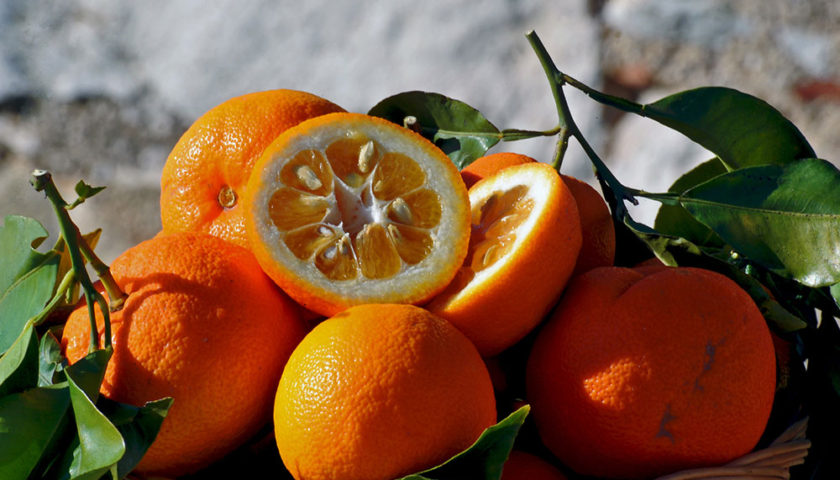 Acqua di fiori di arancio amaro