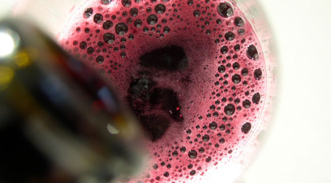Lambrusco figlio di Romagna Lambrusco figlio di Romagna