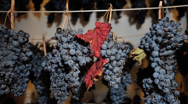 A Serrapetrona ritorna Appassimenti Aperti due domeniche al sapore di Vernaccia A Serrapetrona ritorna Appassimenti Aperti due domeniche al sapore di Vernaccia