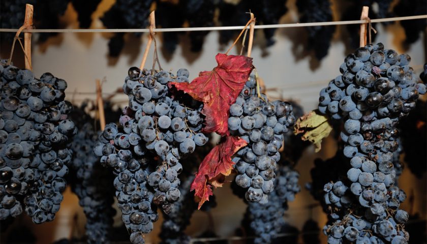 A Serrapetrona ritorna Appassimenti Aperti due domeniche al sapore di Vernaccia