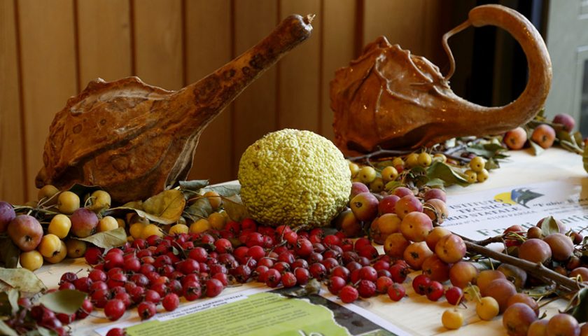 Approda nel Chianti Rural Festival la mostra-mercato di biodiversità