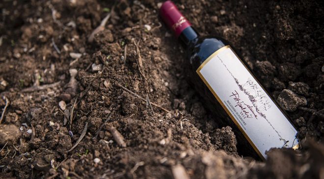 La Cantina Donne Fittipaldi festeggia 10 anni di Qualità La Cantina Donne Fittipaldi festeggia 10 anni di Qualità
