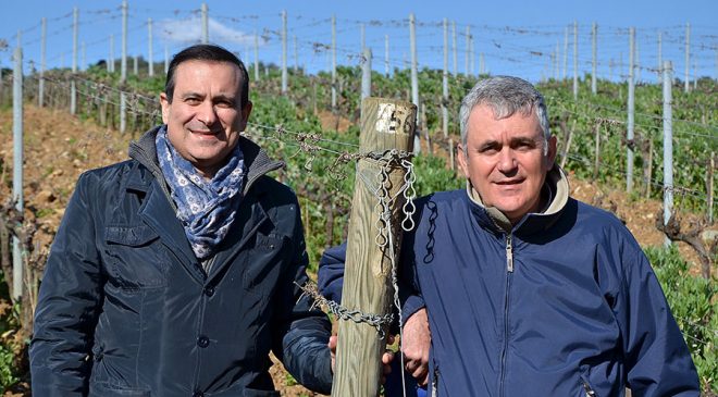 I venti anni della Cantina La Regola I venti anni della Cantina La Regola