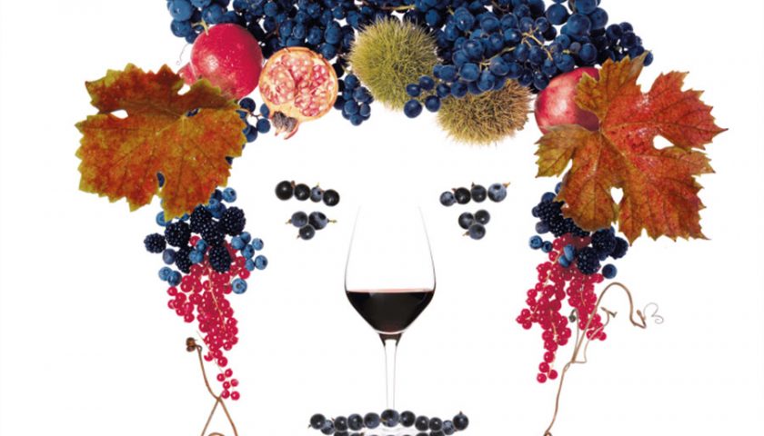 A Lucca XVI Anteprima Vini della Costa Toscana