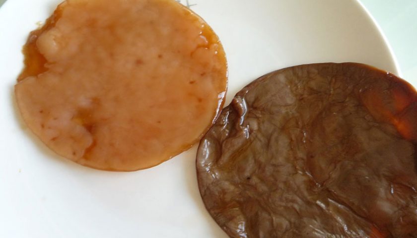 The Kombucha