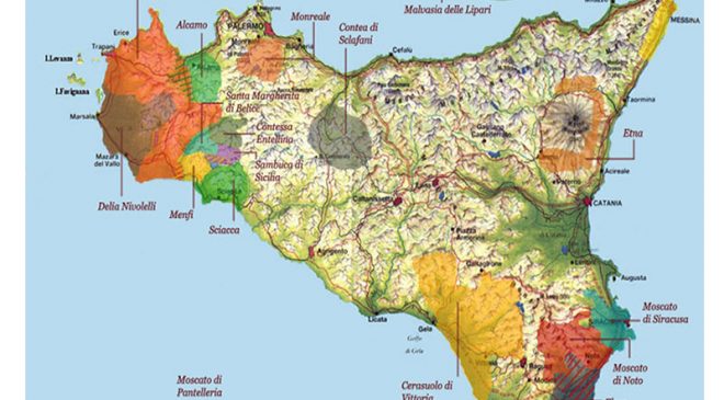 I vini della Sicilia