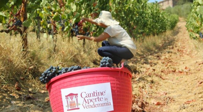 Cantine Aperte in Vendemmia dal 8 al 17 settembre in Toscana
