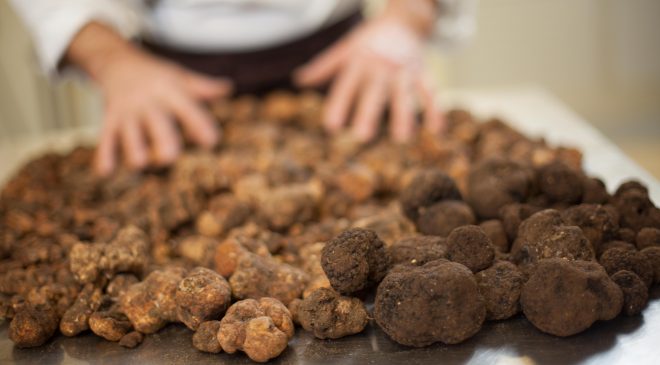 Savini Tartufi e i 4 errori da evitare per gustare al meglio il tartufo