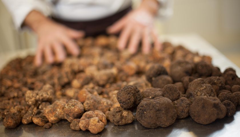 Savini Tartufi e i 4 errori da evitare per gustare al meglio il tartufo