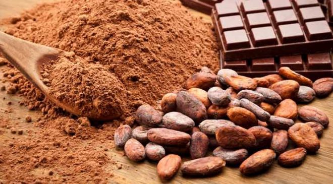 Cacao brasiliano crescono le esportazioni in Italia Cacao brasiliano crescono le esportazioni in Italia