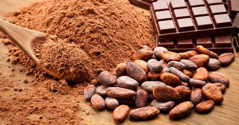 Cacao brasiliano crescono le esportazioni in Italia