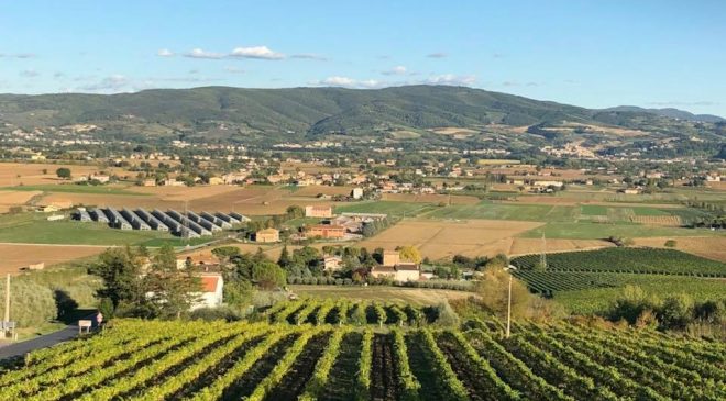 Un autunno ricco di eventi lungo la Strada dei Vini del Cantico Un autunno ricco di eventi lungo la Strada dei Vini del Cantico