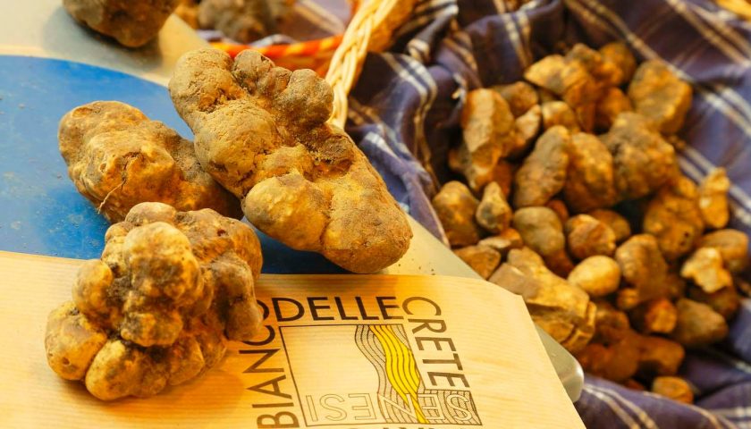 32° Mostra Mercato del Tartufo Bianco delle Cinte Senesi 11-12 e 18-19 novembre