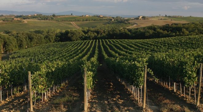 Nobile di Montepulciano sostenibile se ne parla il 13 dicembre a Nobile e Sostenibile Nobile di Montepulciano sostenibile se ne parla il 13 dicembre a Nobile e Sostenibile