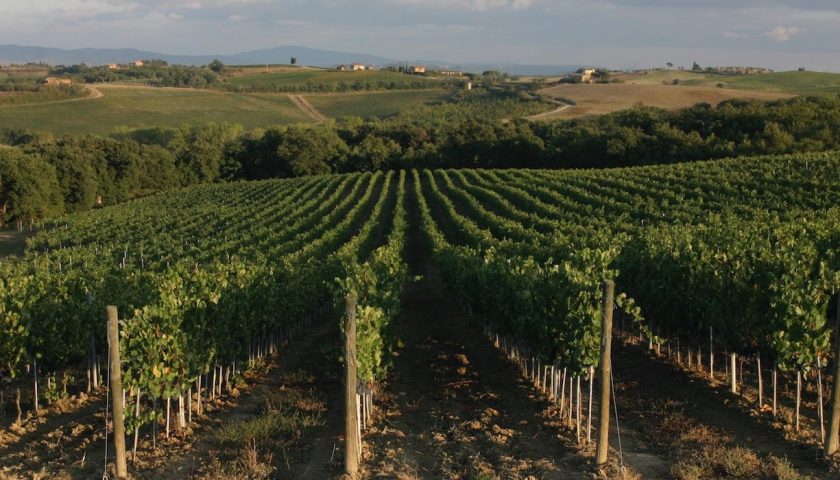 Nobile di Montepulciano sostenibile se ne parla il 13 dicembre a Nobile e Sostenibile