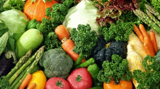 Tutto sui vegetali
