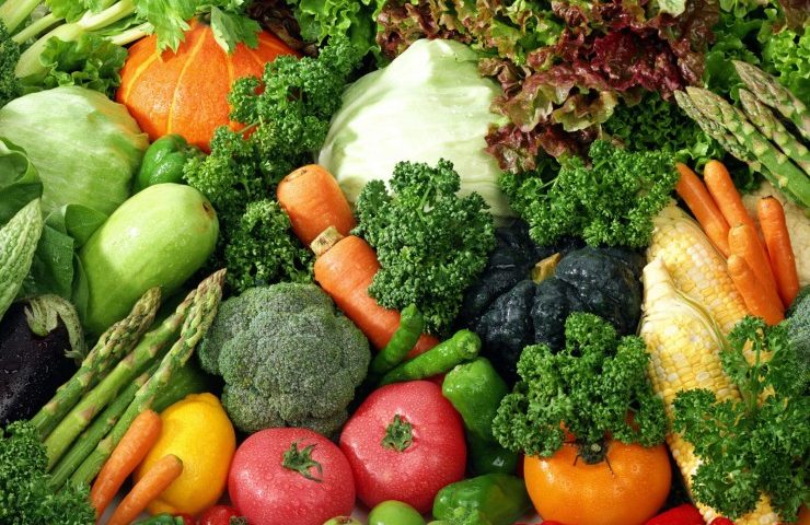 Tutto sui vegetali