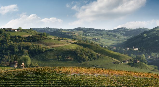 Goodwine Neviglie dal 13 al 15 luglio